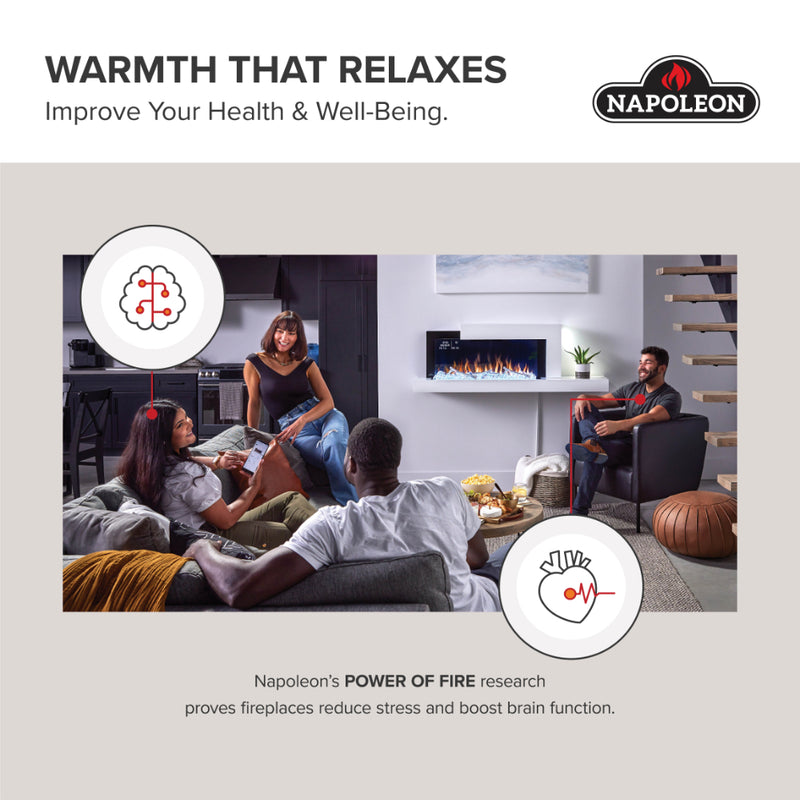 Napoleon CLEARion Elite See-Through Built In Electric Fireplace
