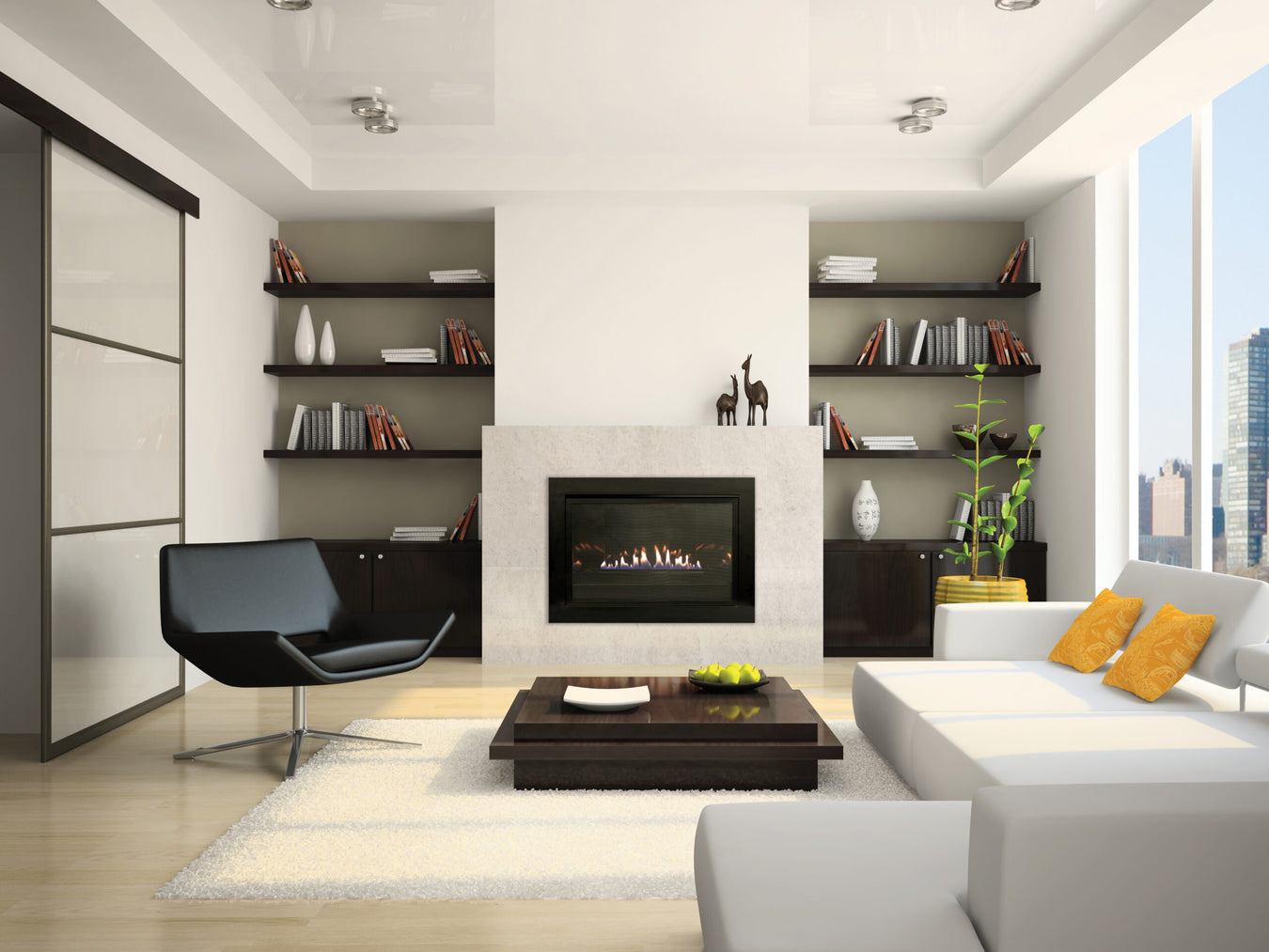 Gas Fireplace Inserts